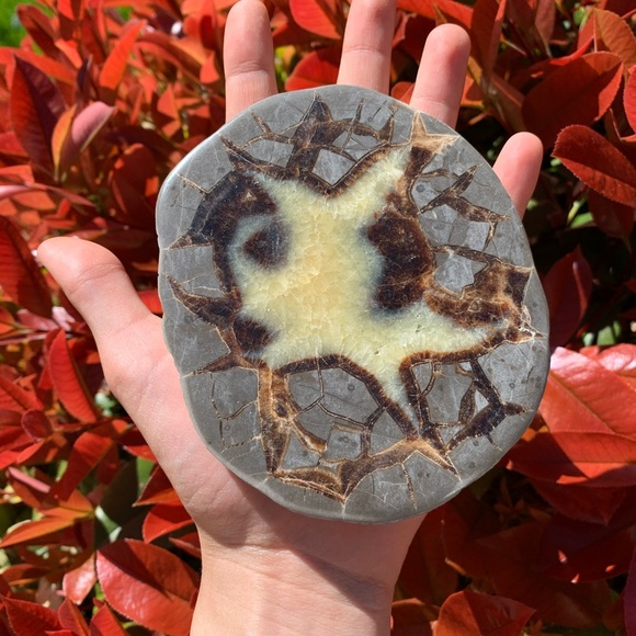 Polished Septarian Dragon Egg Slab - Picture 2 of 6